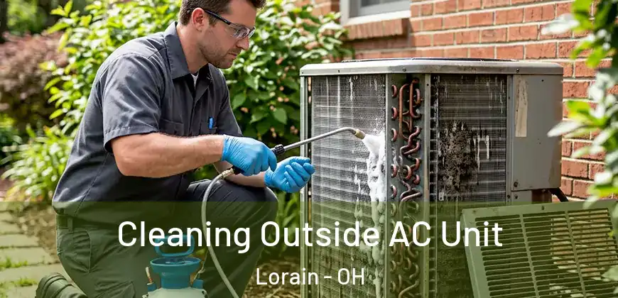 Cleaning Outside AC Unit Lorain - OH